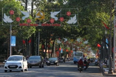 Đường Lê Duẩn, TP Buôn Ma Thuột, được trang trí đẹp mắt chuẩn bị đón Xuân. (Ảnh: Phạm Cường/TTXVN)