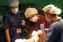 (Ảnh minh họa: Trần Thị Thu Hiền/TTXVN)