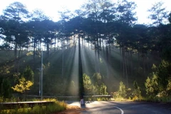 (Ảnh minh họa: Đặng Tuấn/TTXVN)