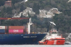 Tàu chở hàng Songa Iridum treo cờ Liberia đâm vào bờ tại eo biển Bosphorus. (Nguồn: CNN)
