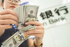 Kiểm đồng USD tại một ngân hàng ở Giang Tô, Trung Quốc. (Ảnh: AFP/TTXVN)