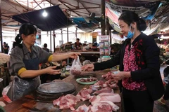 Thịt lợn tăng giá khiến người dân dè dặt hơn khi mua thịt lợn. (Ảnh: Thanh Thương/TTXVN)