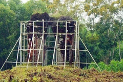 Phật viện Đồng Dương đón nhận Bằng xếp hạng Di tích quốc gia đặc biệt