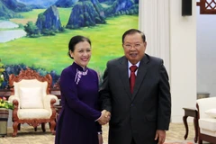 Tổng Bí thư, Chủ tịch nước Lào tiếp bà Nguyễn Phương Nga. (Ảnh: Phạm Kiên/Vietnam+)