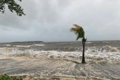 Bão Fiji gây mưa to và gió lớn trên quốc đảo Fiji. (Nguồn: nzherald.co.nz)