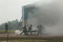 Diễn tập cứu hộ, cứu nạn. (Ảnh: Thanh Bình/TTXVN)