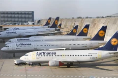 Máy bay của hãng hàng không Lufthansa tại sân bay ở Frankfurt am Main, miền Tây nước Đức. (Ảnh: AFP/TTXVN)