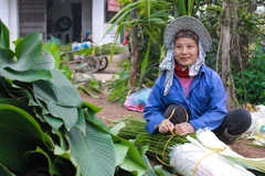 Từ nhiều năm nay, lá dong đã trở thành thương hiệu của Tràng Cát (Ảnh: PV/Vietnam+) 