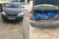Chiếc xe ôtô chở 20 con kỳ đà bị bắt giữ khi đang trên đường đi tiêu thụ lậu. (Ảnh: PV/Vietnam+)