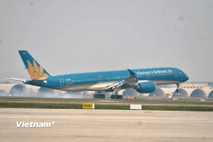 Máy bay của Hãng hàng không Vietnam Airlines tại Sân bay Quốc tế Nội Bài. (Ảnh: Việt Hùng/Vietnam+)