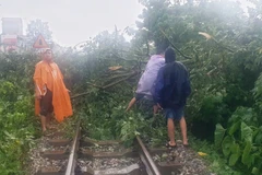 Cán bộ, công nhân viên ngành đường sắt khắc phục vị trí cây đổ vào đường ray để thông tàu chạy nhanh nhất. (Ảnh: PV/Vietnam+)