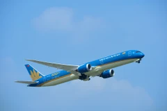 Máy bay của Hãng hàng không Vietnam Airlines. (Ảnh: PV/Vietnam+)