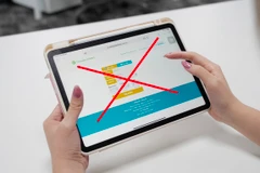 Website giả mạo bán vé máy bay được các đối tượng xấu thực hiện để lừa khách hàng. (Ảnh: PV/Vietnam+)