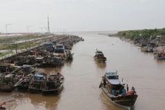 Tàu thuyền vào bờ tránh bão số 16. (Ảnh: Huỳnh Sử/TTXVN)