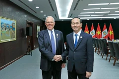 Chiều 9/11/2017, tại Đà Nẵng, Chủ tịch nước Trần Đại Quang gặp song phương Tổng thống Peru Pedro Pablo Kuczynski. (Nguồn: TTXVN)