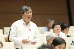 Đại biểu Quốc hội thành phố Hà Nội Nguyễn Anh Trí phát biểu ý kiến. (Ảnh: Phương Hoa/TTXVN)
