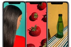 Điện thoại iPhone X. (Nguồn: Apple)