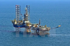 Ảnh minh họa. (Nguồn: TTXVN)