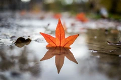 [Photo] Phong cảnh thế giới tuyệt đẹp những ngày cuối Thu, lập Đông