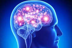 Cứu sống bệnh nhân 14 tuổi bị tổn thương não nghiêm trọng 