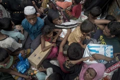 Người tị nạn Hồi giáo Rohingya trên đường tới lánh nạn tại trại tị nạn Nayapara, Bangladesh ngày 3/10. (Nguồn: AFP/TTXVN)