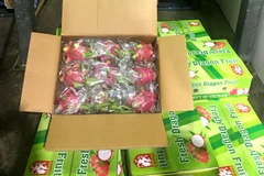 Thanh long Việt Nam do Công ty Empro nhập vào bán ở bang tây Australia. (Nguồn: Tổng lãnh sự quán Việt Nam tại Perth)