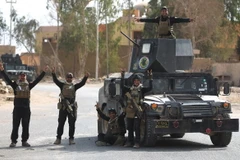 Các lực lượng Iraq tại thành phố al-Qaim, tỉnh Anbar sau khi giải phóng thành phố này từ IS ngày 4/11. (Nguồn: AFP/TTXVN)
