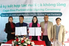 Hợp tác xã chăn nuôi Nguyễn Gia hợp tác với công ty Global Food Partners (Singapore) sản xuất trứng gà không nhốt lồng