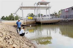 Cán bộ kỹ thuật của Sở Nông nghiệp và Phát triển nông thôn kiểm tra đo độ mặn tại cống thủy lợi Tre Bông, xã Tiên Thủy, huyện Châu Thành. (Ảnh: Vũ Sinh/TTXVN)