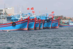 Tàu cá Việt Nam neo đậu tại cảng. (Ảnh: Phạm Cường/TTXVN)