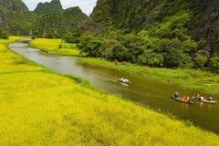 Tam Cốc mùa lúa chín. (Ảnh: Minh Đức/TTXVN)