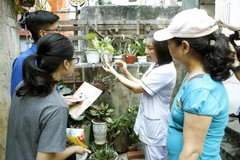 Nhân viên y tế và thanh niên tình nguyện hướng dẫn người dân thu gom phế thải, phế liệu, diệt bọ gậy để phòng chống dịch sốt xuất huyết. (Ảnh: Dương Ngọc/TTXVN)