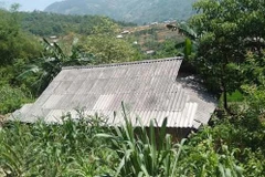 Khẩn trương điều tra vụ chồng giết vợ rồi treo cổ tự tử ở Hà Giang