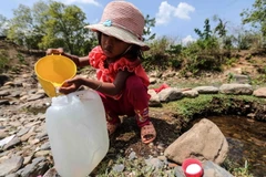 Người dân thôn Tà Nôi, huyện Ninh Sơn lấy nước từ những dòng suối còn chút ít để sinh hoạt do hạn hán kéo dài. (Ảnh: TTXVN)