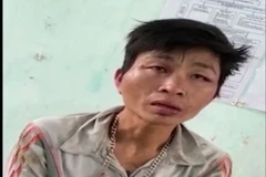 Đối tượng Nguyễn Văn Hải. (Ảnh: Võ Dung/TTXVN)