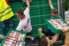 Ảnh chỉ có tính minh họa. (Nguồn: AFP)