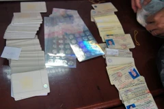 Giấy phép lái xe giả. (Ảnh: Dương Chí Tưởng/TTXVN)