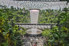 Sân bay quốc tế Changi của Singapore thu hút khách du lịch nhờ thác nước Rain Vortex cao nhất thế giới nằm trong nhà. (Ảnh: CTV/Vietnam+)