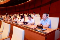 Phiên họp ngày 22/6 của Quốc hội. (Ảnh: Doãn Tấn/TTXVN)