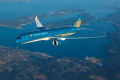 Máy bay của hãng hàng không Vietnam Airlines. (Ảnh: CTV/Vietnam+)