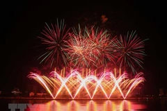 Một màn trình diễn pháo hoa tại Lễ hội Pháo hoa Quốc tế Đà Nẵng. (Ảnh: Trần Lê Lâm/TTXVN)