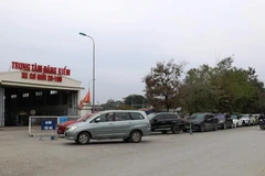 Xe ôtô nối đuôi xếp hàng dài chờ vào đăng kiểm. (Ảnh: Minh Hiếu/Vietnam+)