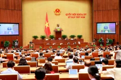 Quang cảnh phiên họp Quốc hội sáng 30/5. (Ảnh: Doãn Tấn/TTXVN)