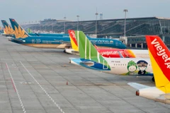 Máy bay của các hãng hàng không tại sân bay Nội Bài. (Ảnh: CTV/Vietnam+)