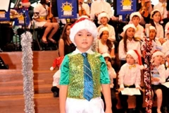 Trí Dũng biểu diễn ở Australia (Nguồn: Internet)