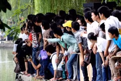 Đông đảo người dân chờ xem rùa nổi ở hồ Hoàn Kiếm. (Nguồn: Internet).