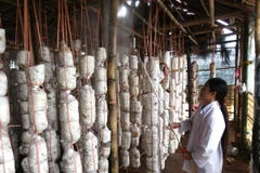 Chưa phát hiện nấm ăn không an toàn trên địa bàn Hà Nội