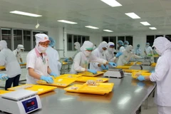 (Ảnh minh họa: Thanh Vũ/TTXVN)