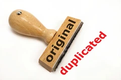 Nhật Bản đình chỉ một giáo sư đại học vì “đạo” luận văn