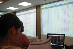 Ảnh minh họa. (Nguồn: TTXVN)